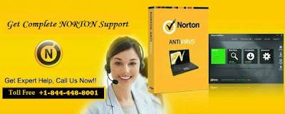 Norton Support Number