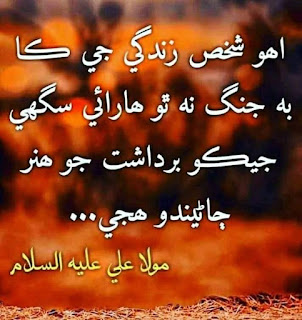 Hazrat Ali Sindhi Quotes Aqwale Zareen 