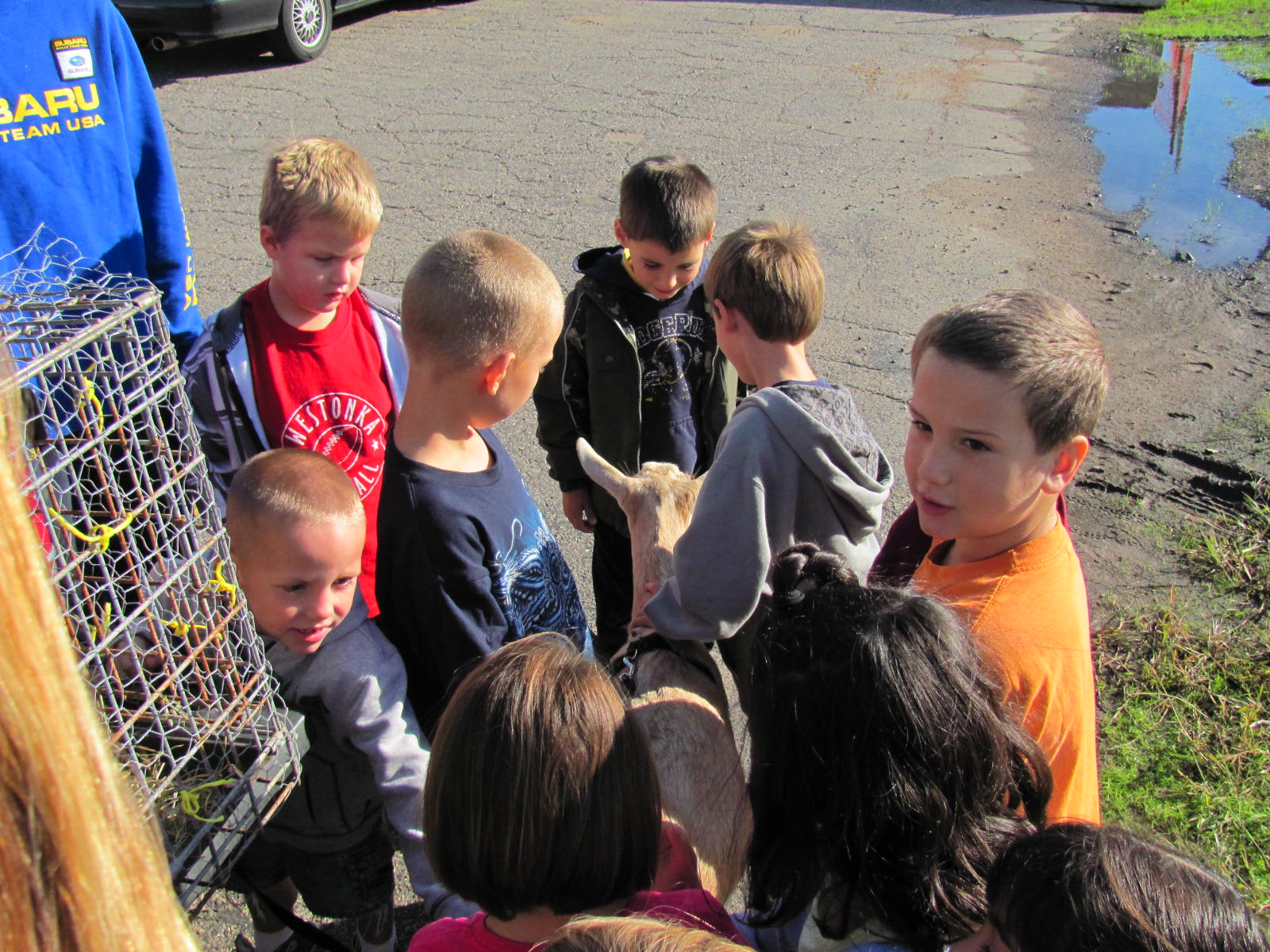 We had some visitors today at Shirley Hills!