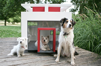 Amazing houses for dogs