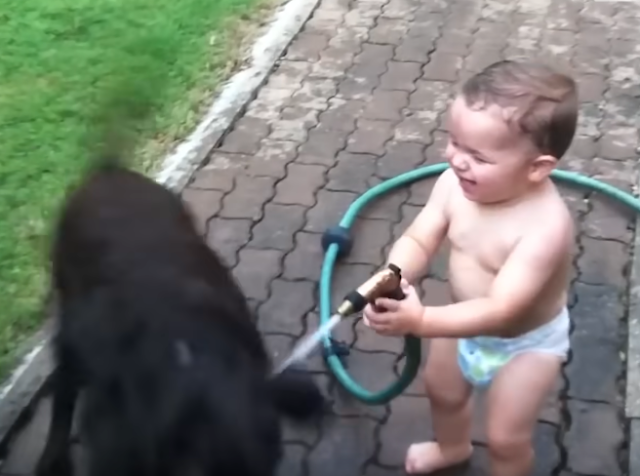 The Joyful Connection Between Babies and Pets
