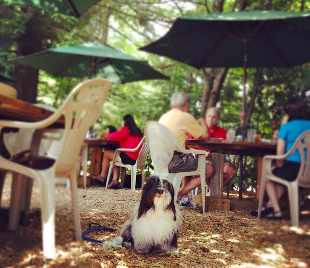 Dog-friendly restaurant in Highlands, NC