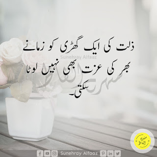 The Best Life Quotes in Urdu