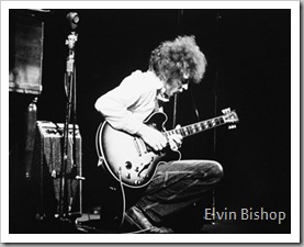 Elvin Bishop 013