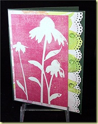 coneflower