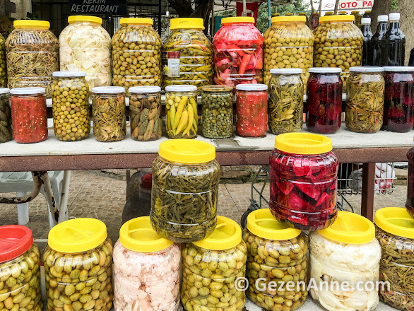 kaya koruğu turşusu, zeytin, kapari, Narlıluyu Mersin