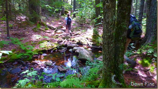 Sargent mountain hike_183