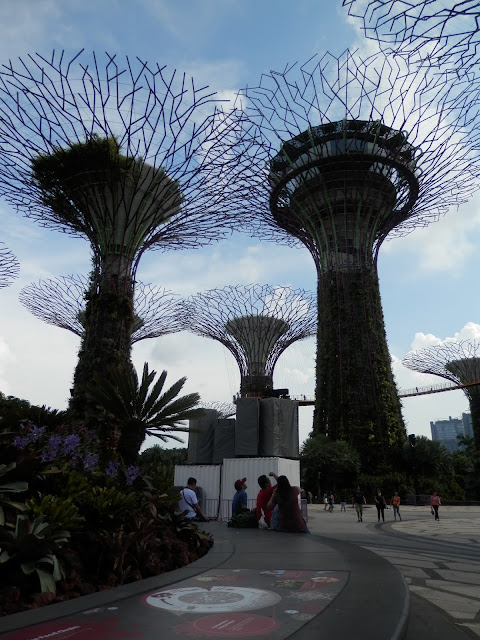 visite de Gardens by the Bay Singapour