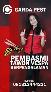 Garda Pest Control Jasa Pembasmi Tawon dan Lebah di Bandung