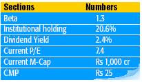 Small Cap Stock With High Dividend & A Growth Stock Too !