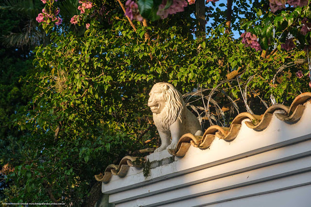 Escultura de leão sobre um muro