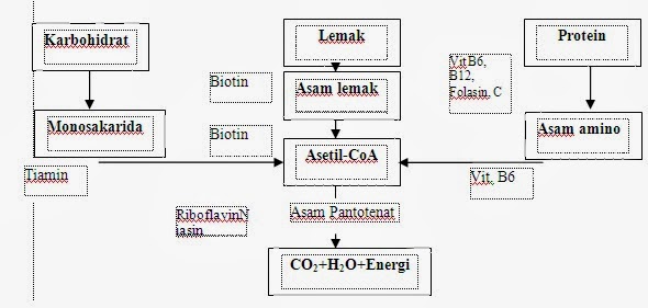 Gambar - gambar struktur kimia beberapa molekul  Makalah 