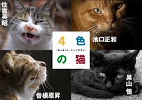 「4色の猫」写真集