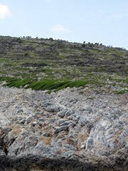IMG_1795