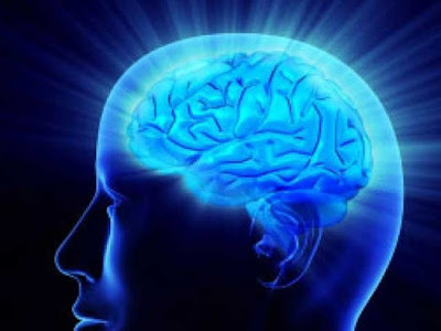 US scientists have developed artificial human brain