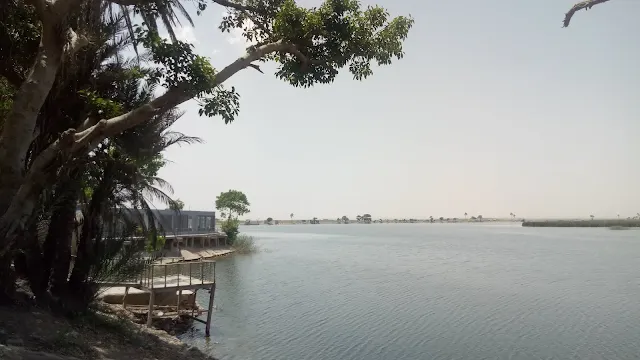 Discover the Wonders of Haleji Lake – Pakistan's Largest Waterbird Sanctuary