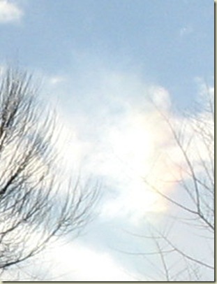 rainbowspot