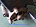 Momod ads.id