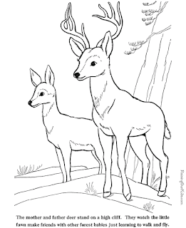 Printable Beauty Deer Coloring Sheet Images