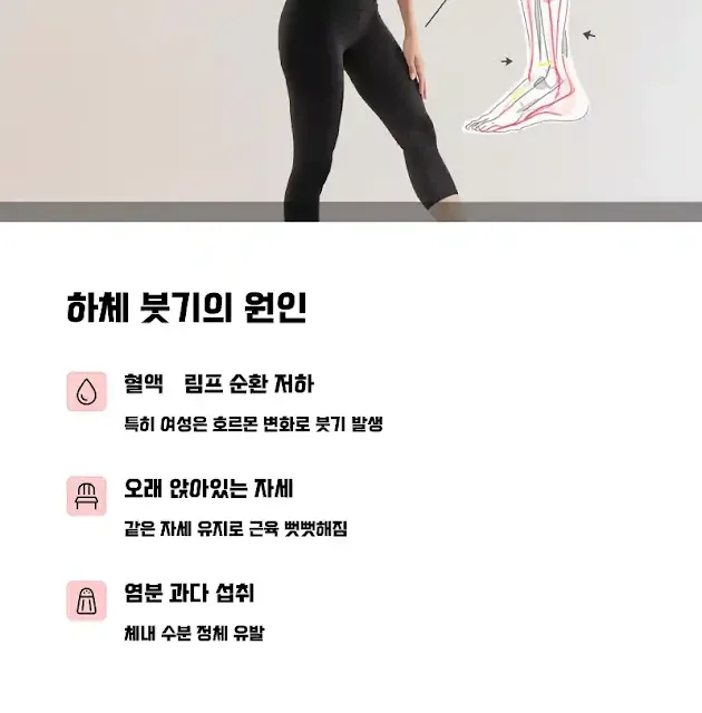 하체 붓기의 원인