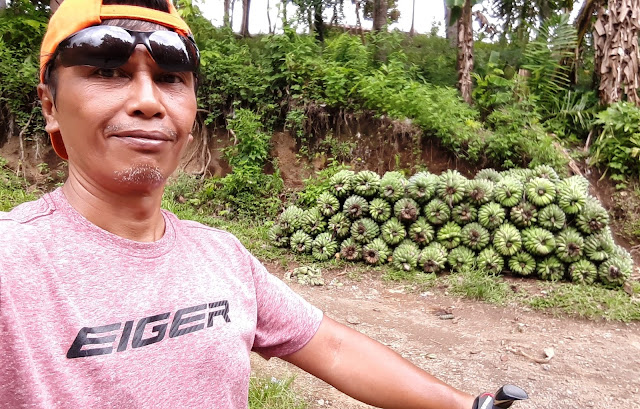 bike to pulau
