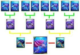 Rage of Bahamut Archelon Evolution