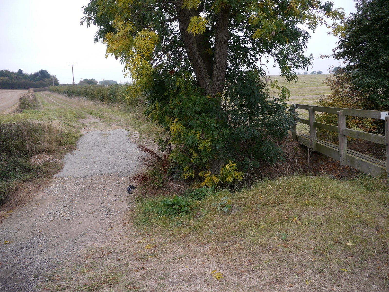 P1000160.JPG