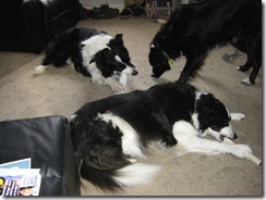 Jade in front. Titch at the back. Katie standing.