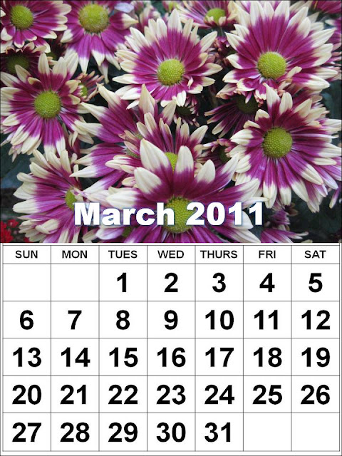 calendar 2011 march april may june. march, april, may, june,