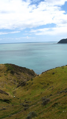 Titahi Bay north towards Plimmerton