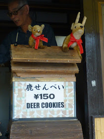 rencontre avec les cerfs à Nara au Japon