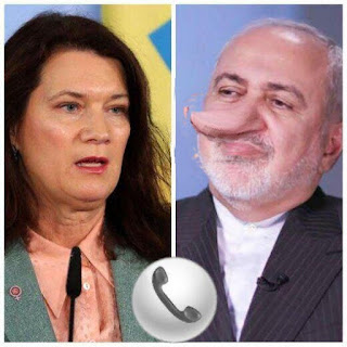 En svensk, som inte ville bli namngiven, förklarade i ett sms att Irans utrikesminister Javad Zarif hade en timmes telefonsamtal med Sveriges utrikesminister Anna Linde
