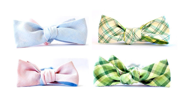 Colorful Branded Tie Collection