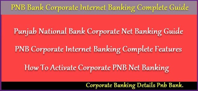 How To Enable Axis Net Banking Customer Id Also Check Procedure How To Activate Pnb Corporate Internet Banking Online.