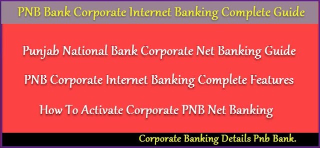 How To Enable Axis Net Banking Customer Id Also Check Procedure How To Activate Pnb Corporate Internet Banking Online.