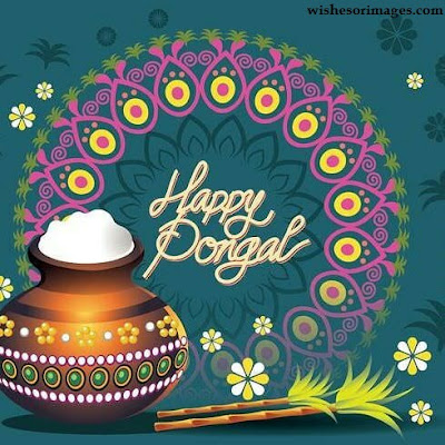 Happy Pongal Images For Instagram