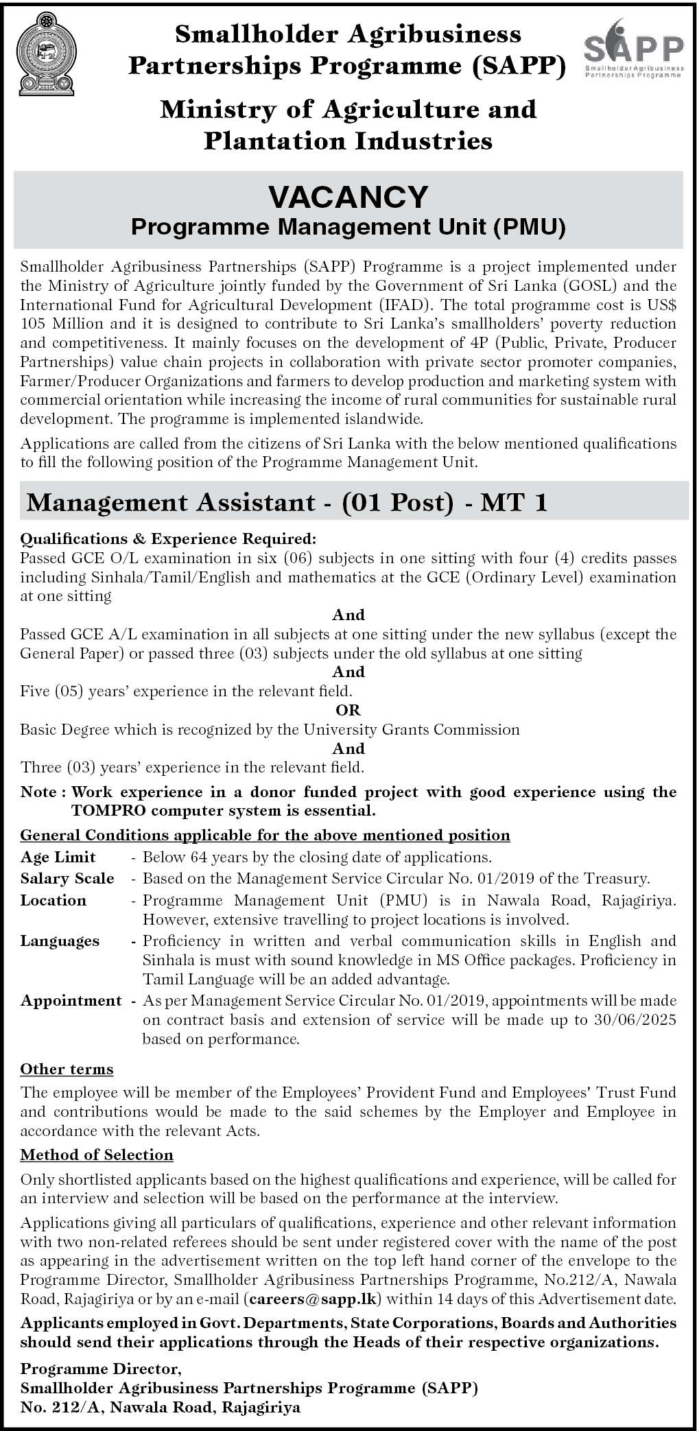 Government Management Assistant Jobs 2024