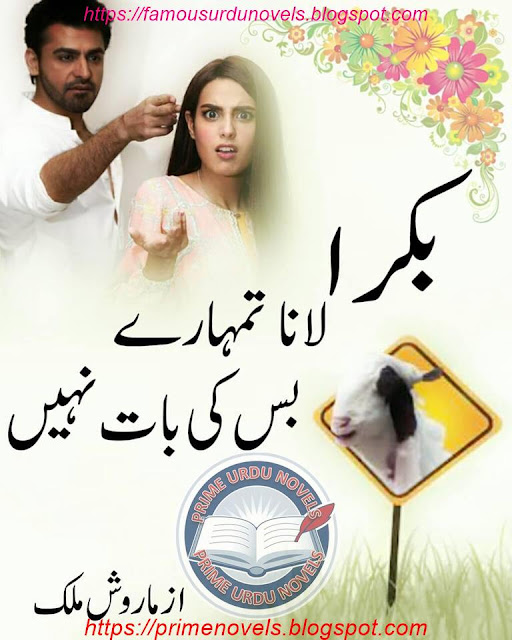 Bakra lana tumhary bas ki baat nahi novel online reading by Marosh Malik