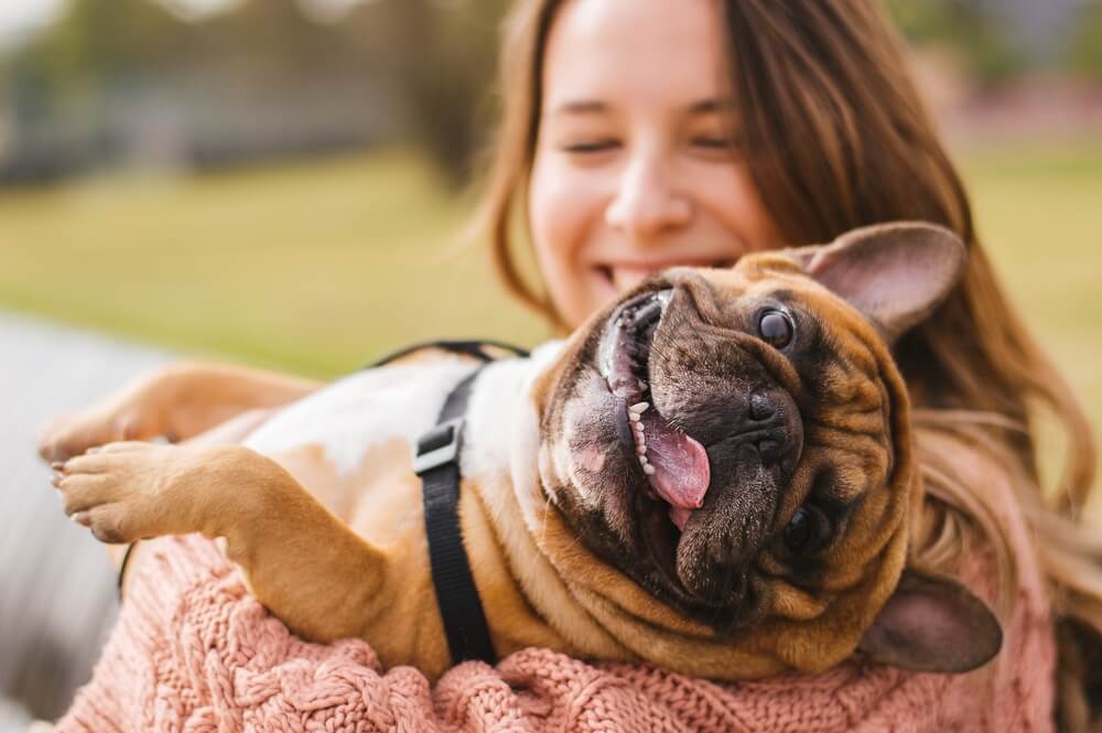 Dog Health - Everything You Need to Know Before You Get a Dog.