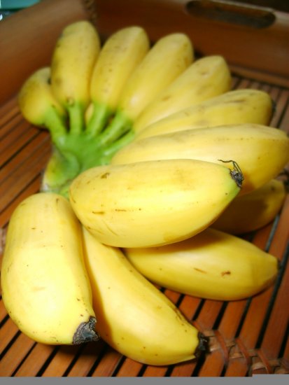     Pisang emas  dibawa belayar dan masak sebiji di 