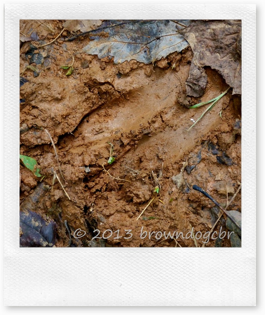 P1280618