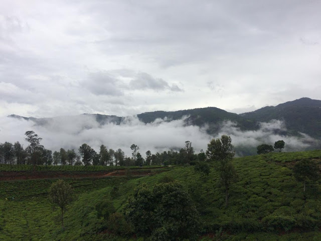 Rottikadai Valparai 