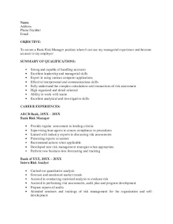 Risk Manager Resume