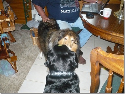 Rigg's&Duchess06-23-11a