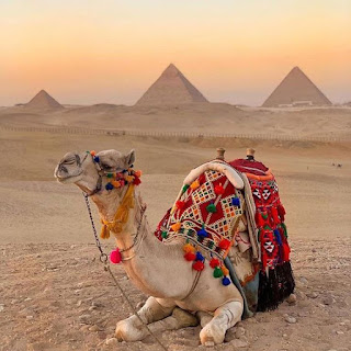 https://www.planegypttours.com/Packages/Christmas-Trips