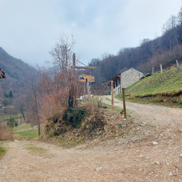 anello sant'augusta vittorio veneto