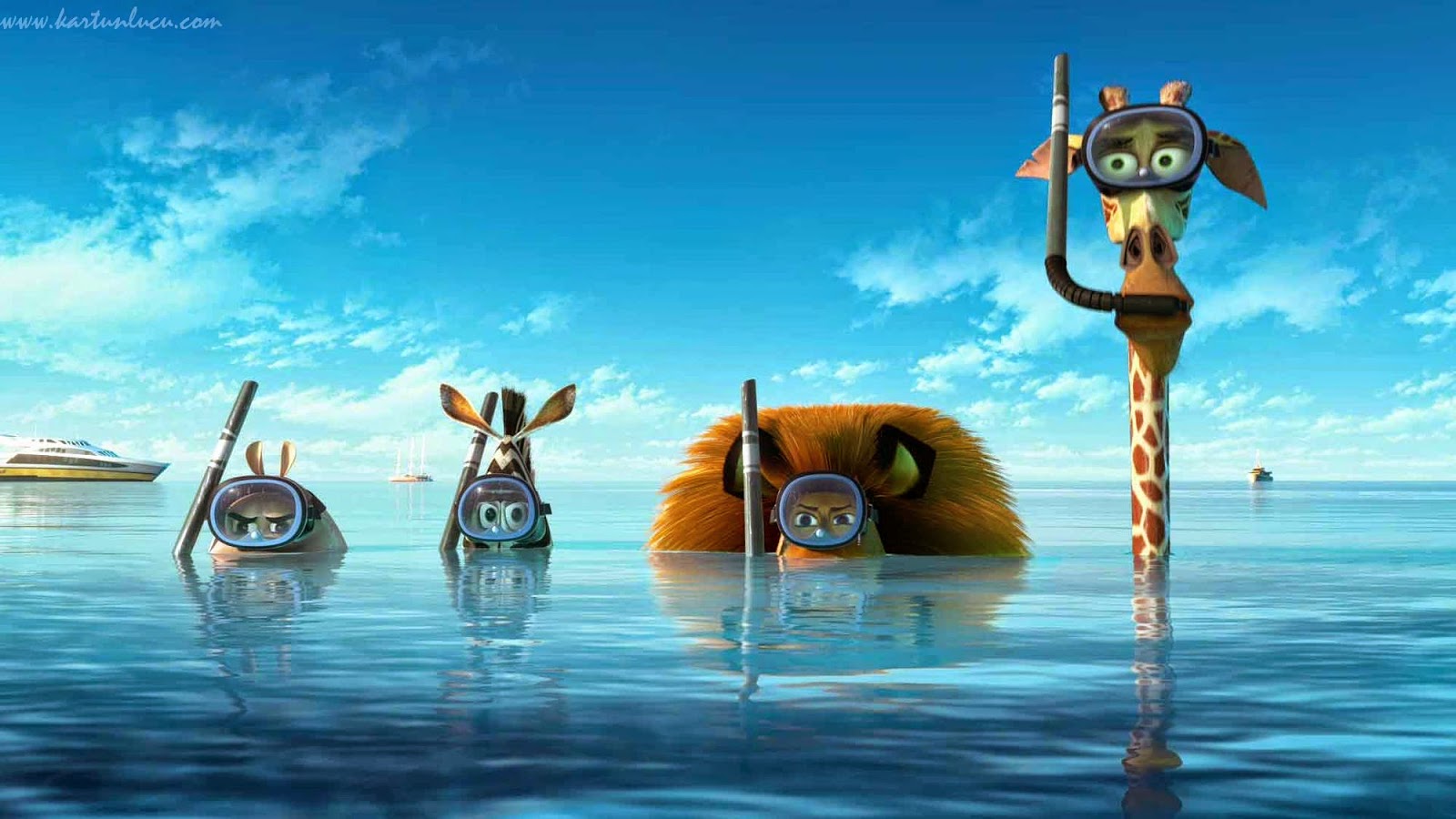 WALLPAPER MADAGASCAR BERENANG DI LAUT Gambar Kartun Lucu Dan