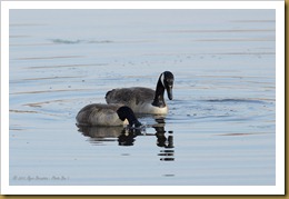 - _DSC8407 April 16, 2012 NIKON D7000