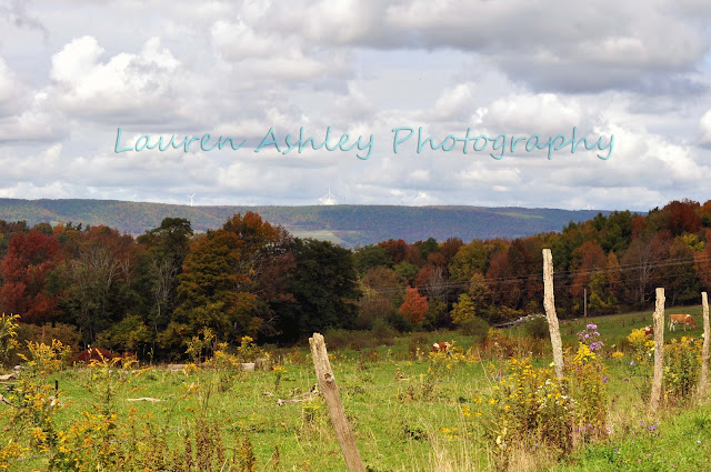 Pennsylvania Mountain Valley