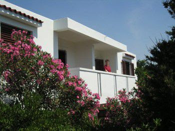 Apartments Gligora, Pag, island Pag, Croatia